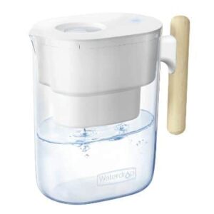 best water filter pitcher that removes fluoride