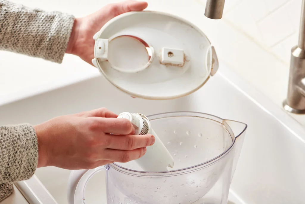 Why Brita Filters Get Mold?